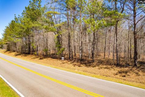 Tract B Grover Wilson Road Blythewood SC 29016