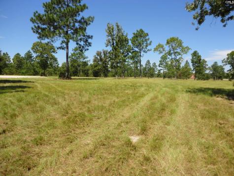 434 Hound Hollow Road Camden SC 29020