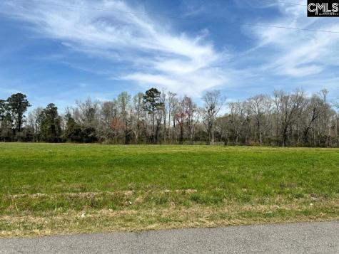 Pleasant Grove Road Loris SC 29569-6524