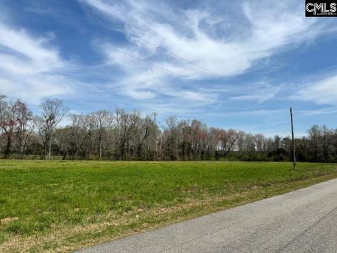 Pleasant Grove Road Loris SC 29569-6524