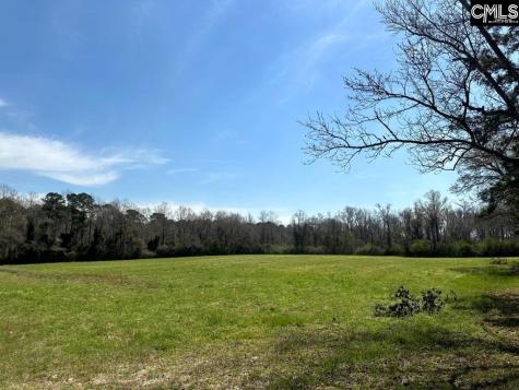 Pleasant Grove Road Loris SC 29569-6524