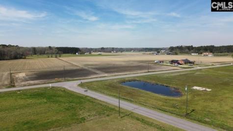 Pleasant Grove Road Loris SC 29569-6524
