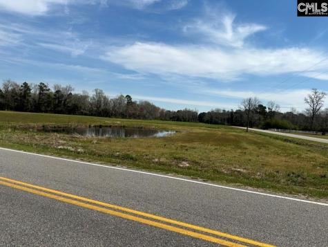 Pleasant Grove Road Loris SC 29569-6524