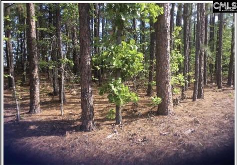 N/s Percival Road NE Columbia SC 29229