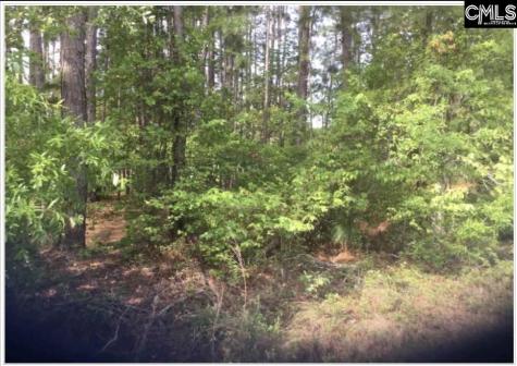 N/s Percival Road NE Columbia SC 29229