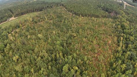 1029 June Berry Road Camden SC 29020