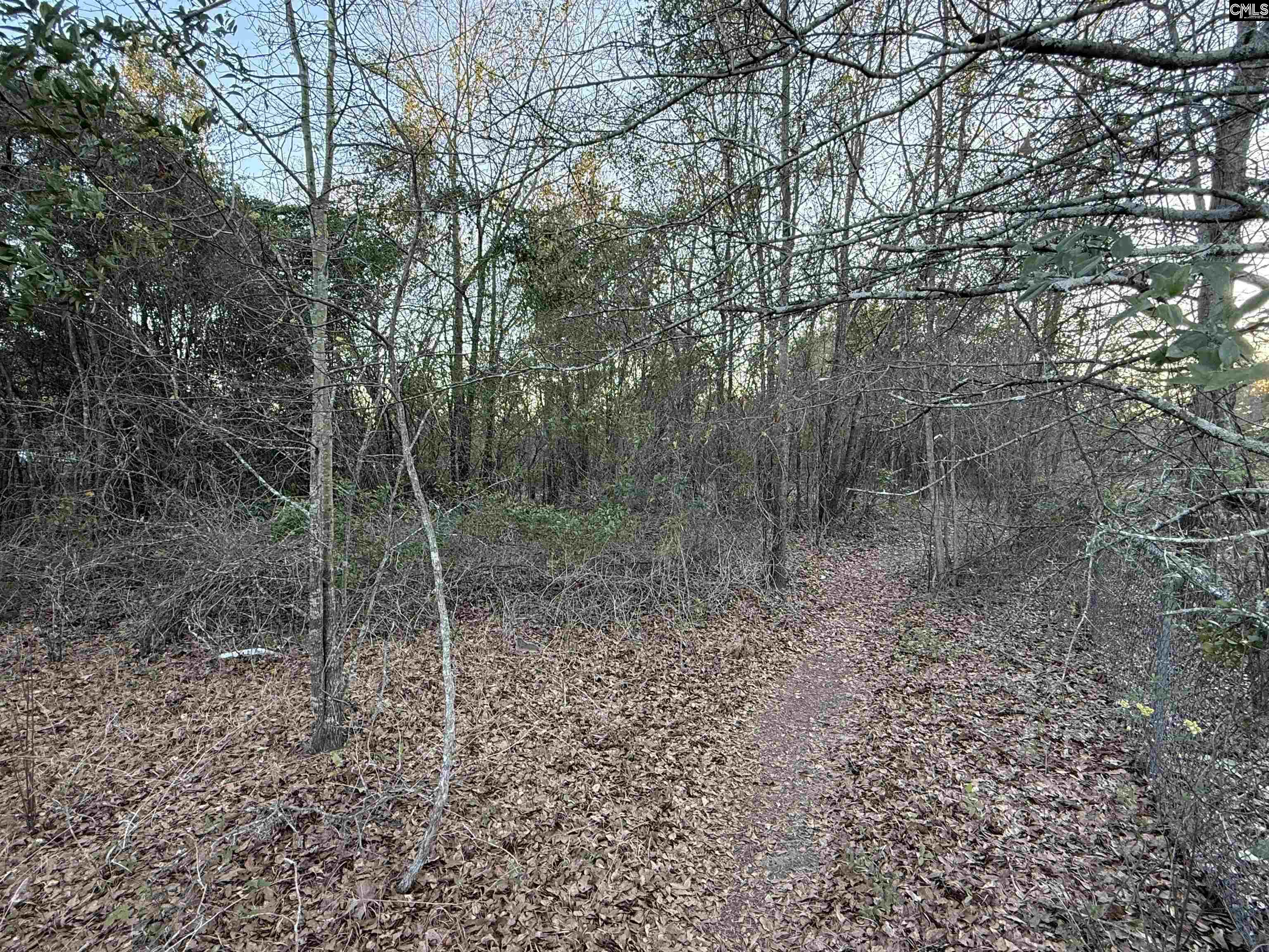 01 Adams Road Lexington SC 29073