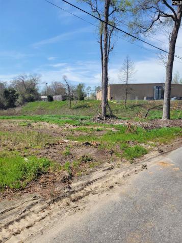 E/s Tremont Avenue Columbia SC 29203