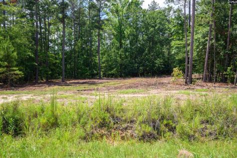 227 Maxie Road Lot 3 Lexington SC 29072