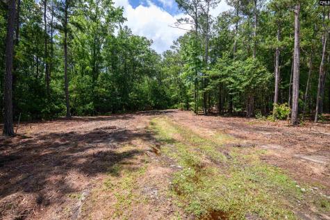 227 Maxie Road Lot 3 Lexington SC 29072