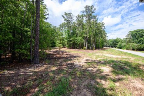227 Maxie Road Lot 3 Lexington SC 29072