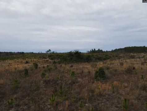 Tract 19 Holland Road Camden SC 29020