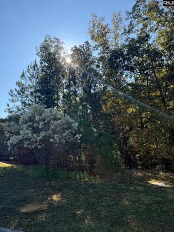 761 Carolina Aster Drive Blythewood SC 29016