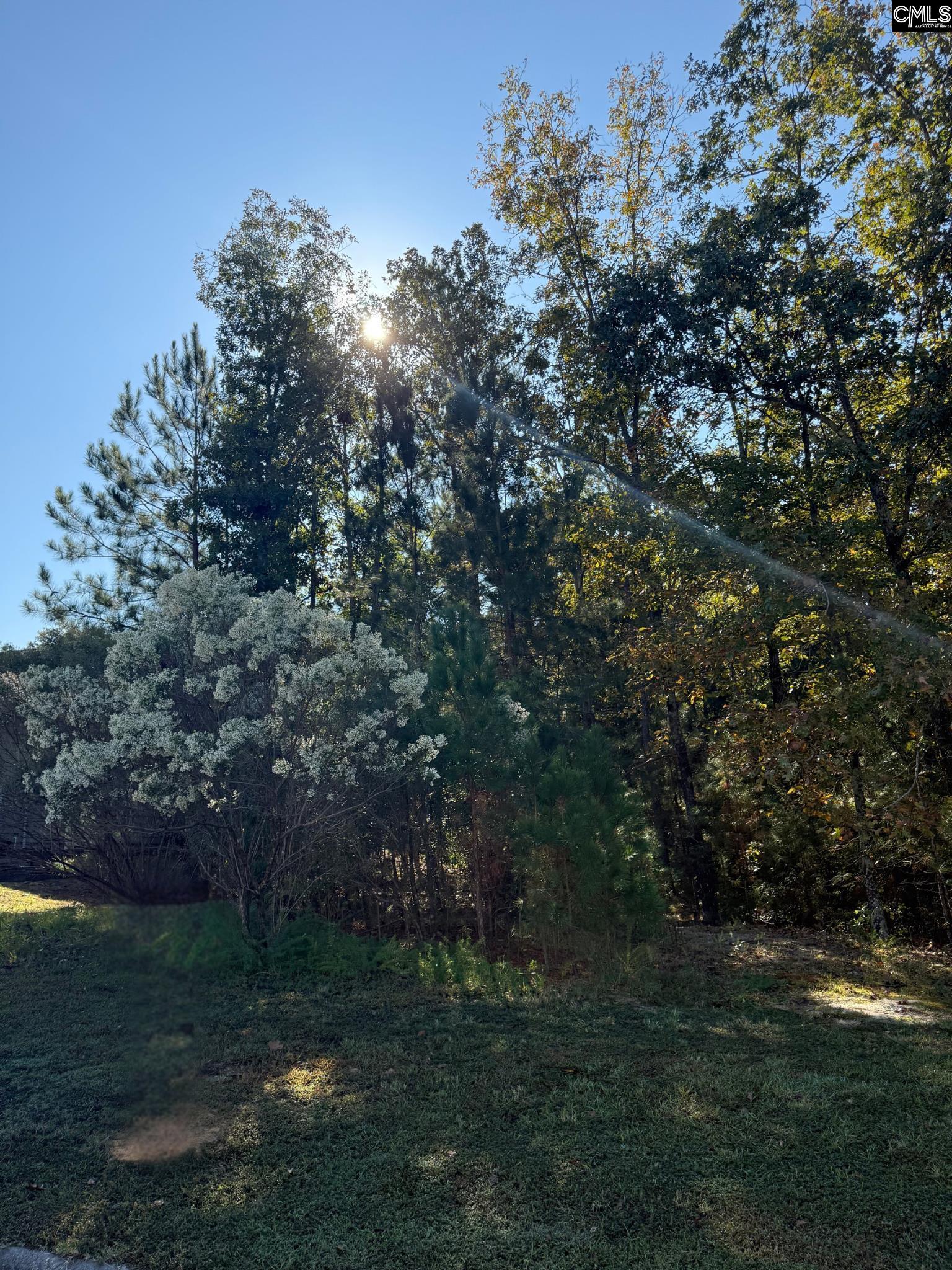 761 Carolina Aster Drive Blythewood SC 29016