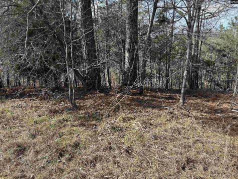 826 Old Goldmine Road Troy SC 28791