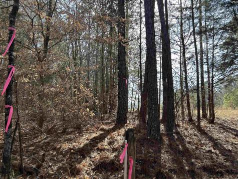 826 Old Goldmine Road Troy SC 28791