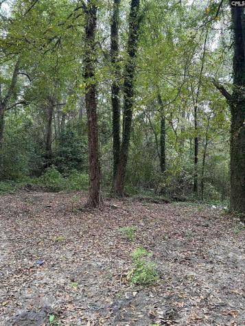 1364 Bon Air Drive Columbia SC 29203