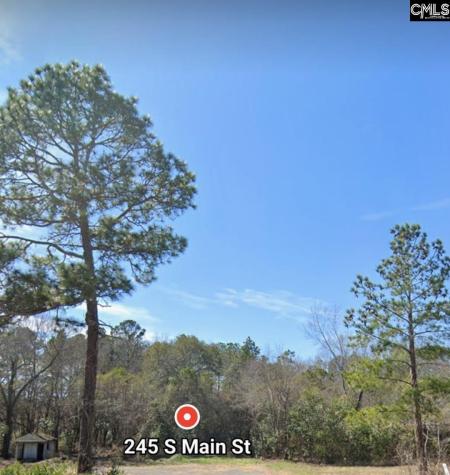 245 South Main Lot A Street Gaston SC 29053