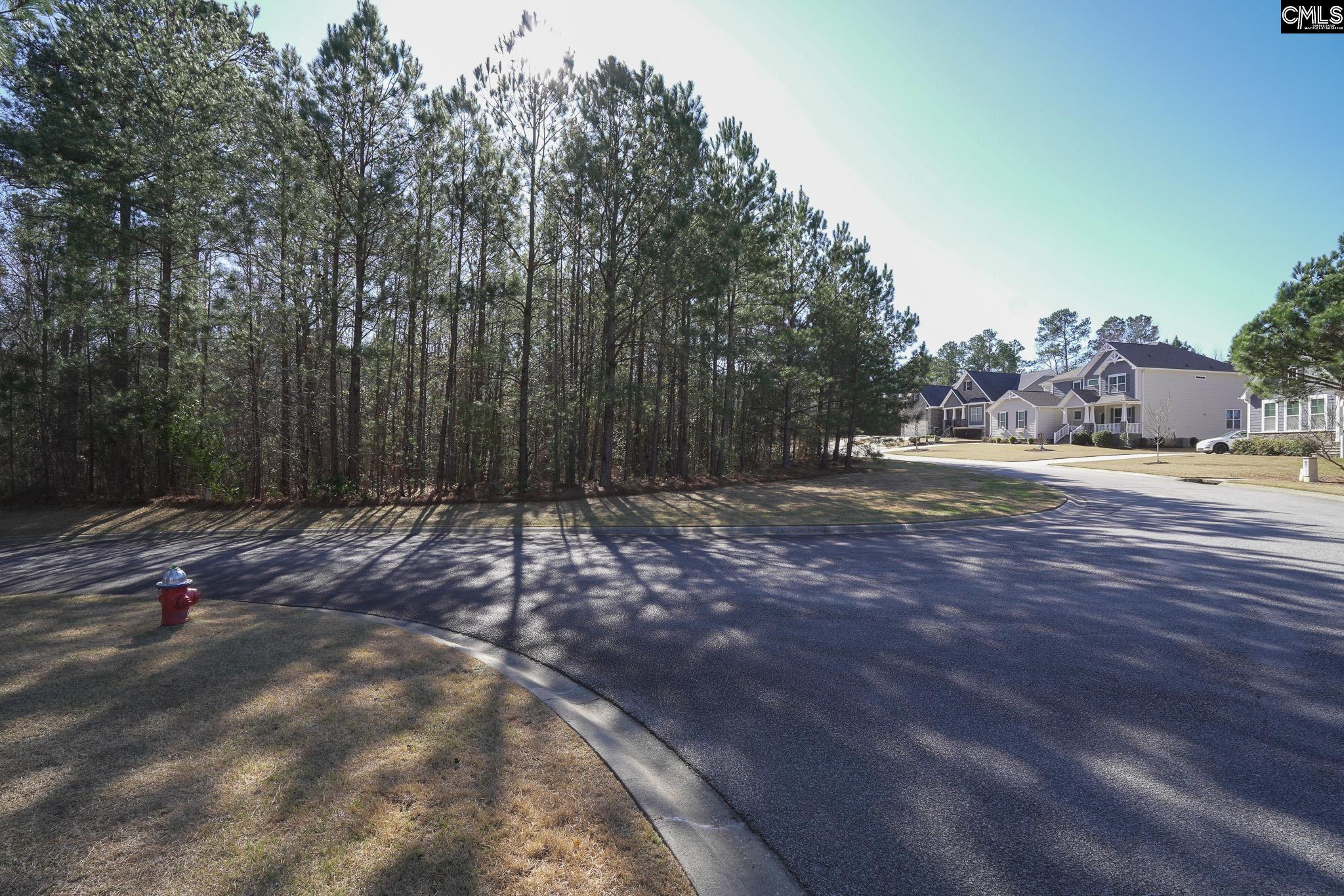 329 Brunner Circle Blythewood SC 29016