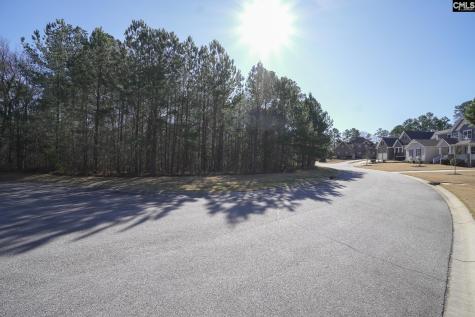 329 Brunner Circle Blythewood SC 29016