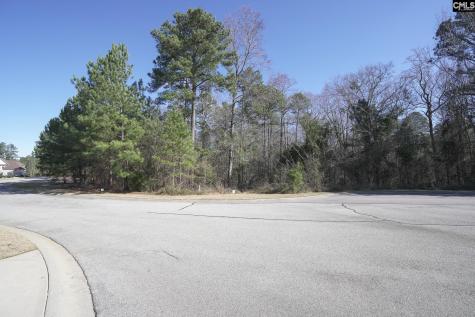 329 Brunner Circle Blythewood SC 29016
