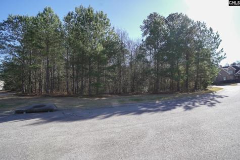 329 Brunner Circle Blythewood SC 29016