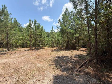 Btf 1 Bradley Trail Jefferson SC 29067