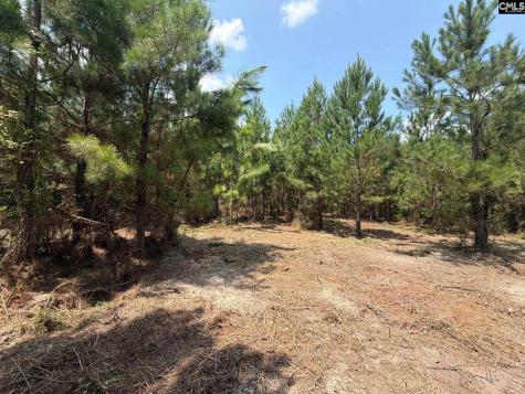 Btf 1 Bradley Trail Jefferson SC 29067