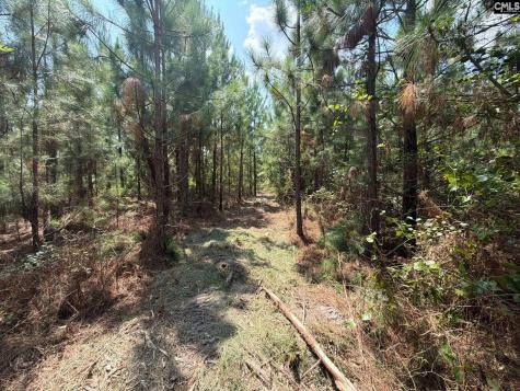 Btf 1 Bradley Trail Jefferson SC 29067