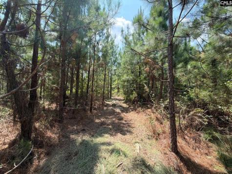 Btf 1 Bradley Trail Jefferson SC 29067