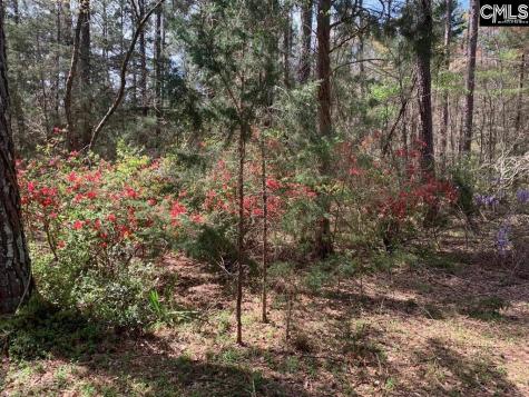 0 Tbd Parcel B Eleazer Road Irmo SC 29063