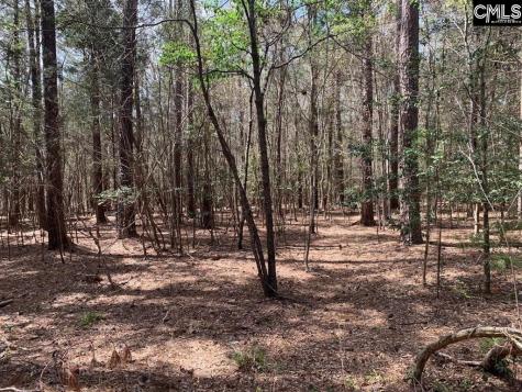0 Tbd Parcel B Eleazer Road Irmo SC 29063