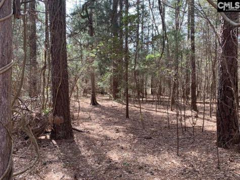 0 Tbd Parcel B Eleazer Road Irmo SC 29063