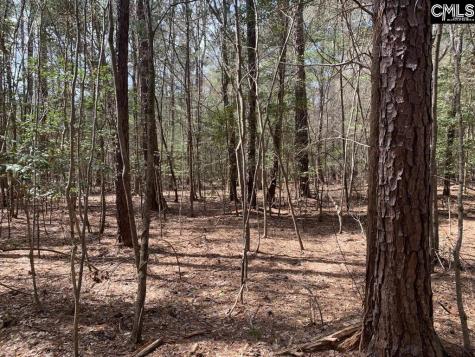 0 Tbd Parcel B Eleazer Road Irmo SC 29063
