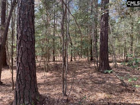 0 Tbd Parcel B Eleazer Road Irmo SC 29063