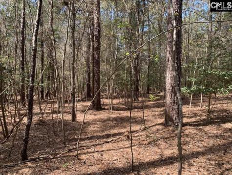 0 Tbd Parcel B Eleazer Road Irmo SC 29063