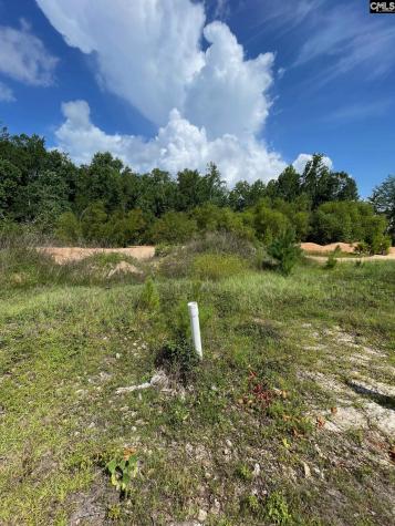 59 Edinburgh Castle Lane Camden SC 29020