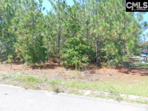 113 Arrowpoint Drive Gaston SC 29053