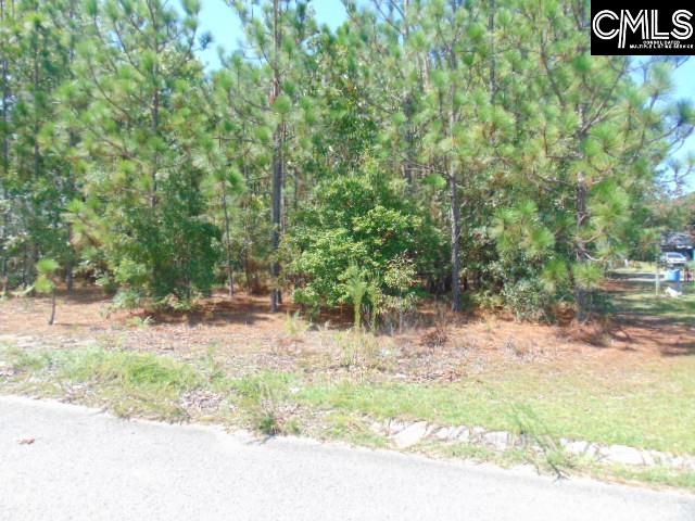 113 Arrowpoint Drive Gaston SC 29053