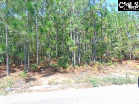 113 Arrowpoint Drive Gaston SC 29053