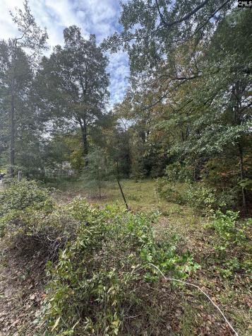0 Weston Avenue Columbia SC 29203