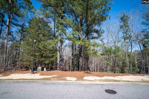 210 Stormycreek Lane Blythewood SC 29016