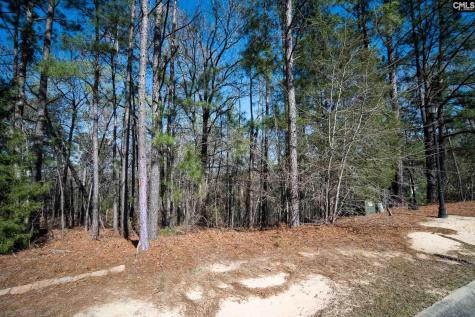 210 Stormycreek Lane Blythewood SC 29016