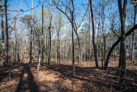 210 Stormycreek Lane Blythewood SC 29016