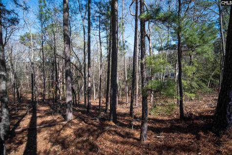 210 Stormycreek Lane Blythewood SC 29016