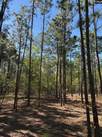 0 0 East Old Camden Highway Darlington SC 29550