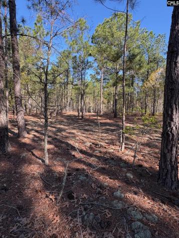 0 0 East Old Camden Highway Darlington SC 29550