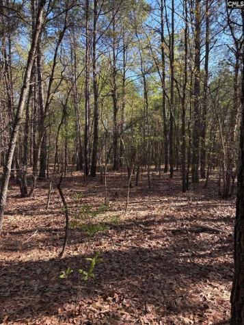 0 0 East Old Camden Highway Darlington SC 29550