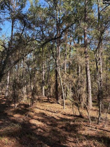 0 0 East Old Camden Highway Darlington SC 29550