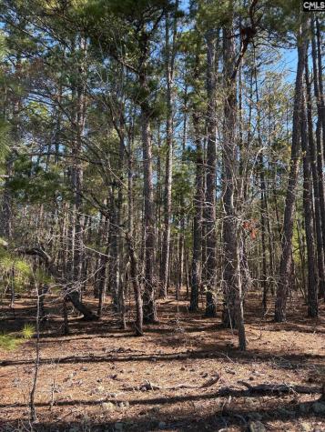 0 0 East Old Camden Highway Darlington SC 29550